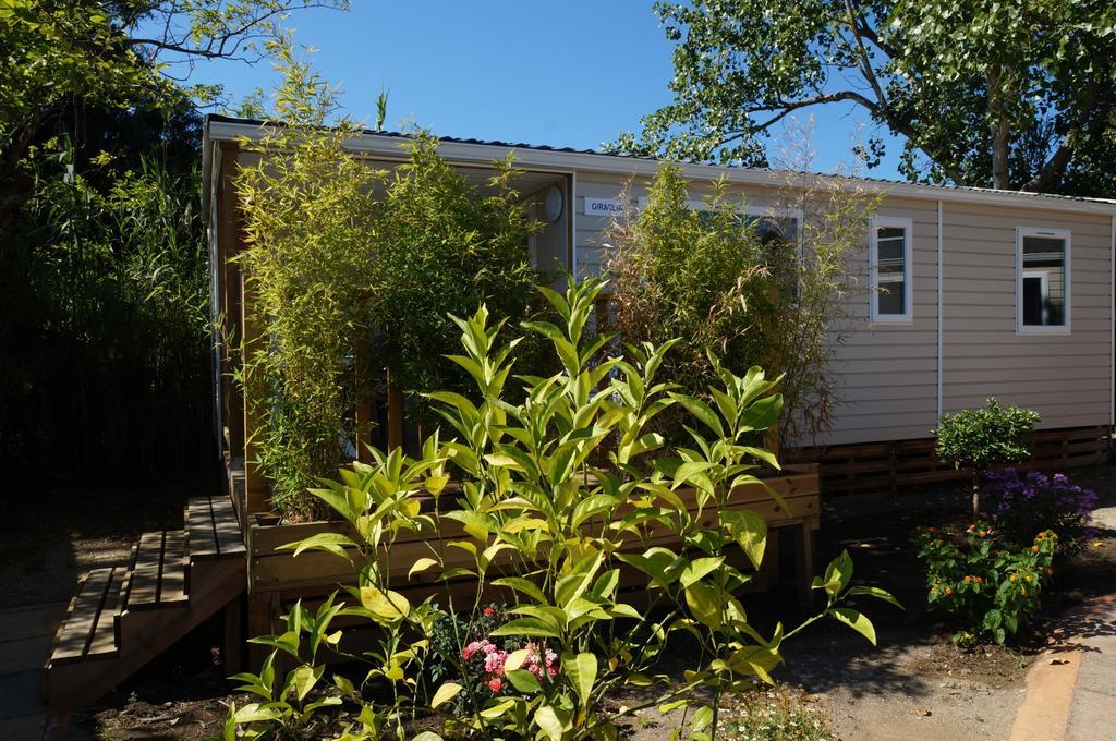 Camping International Calvi  Exterior foto